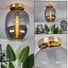 Apedo Plafondlamp - Glas Messing, 1-licht