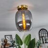 Apedo Plafondlamp - Glas Messing, 1-licht