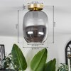 Apedo Plafondlamp - Glas Messing, 1-licht