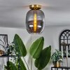 Apedo Plafondlamp - Glas Messing, 1-licht
