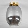 Apedo Plafondlamp - Glas Messing, 1-licht