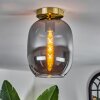 Apedo Plafondlamp - Glas Messing, 1-licht