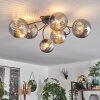 Chehalis Plafondlamp Rookkleurig, 6-lichts