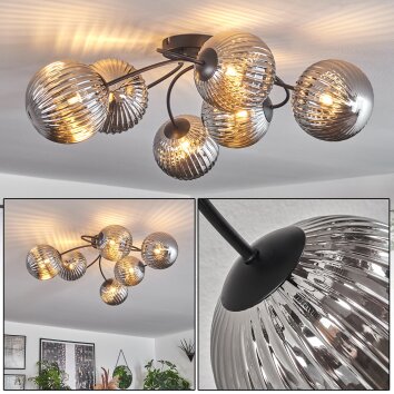 Chehalis Plafondlamp Rookkleurig, 6-lichts