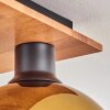 Koyoto Plafondlamp - Glas Natuurlijke kleuren, Zwart, 4-lichts
