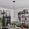 Gastor Hanger - Glas Amber, Duidelijk, 1-licht