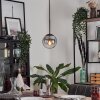 Gastor Hanger - Glas Duidelijk, Rookkleurig, 1-licht