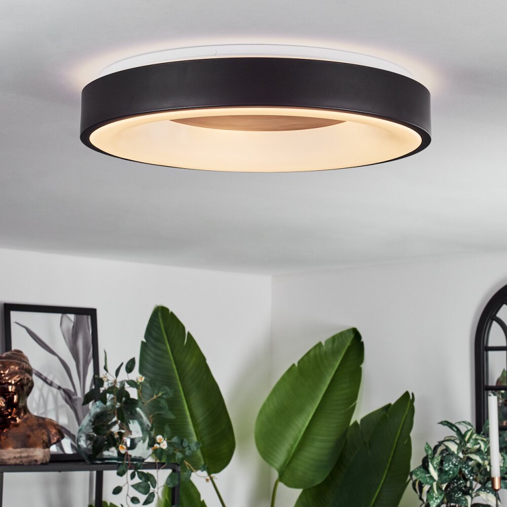 Palanko Plafondlamp LED Wit, 1-licht, Afstandsbediening