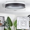 Palanko Plafondlamp LED Wit, 1-licht, Afstandsbediening