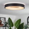 Palanko Plafondlamp LED Wit, 1-licht, Afstandsbediening