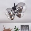 Chehalis Plafondlamp - Glas Duidelijk, Rookkleurig, 4-lichts