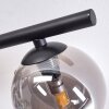 Chehalis Plafondlamp - Glas Rookkleurig, 4-lichts
