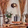 Chehalis Muurlamp - Glas Duidelijk, Rookkleurig, 1-licht