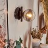 Chehalis Muurlamp - Glas Duidelijk, Rookkleurig, 1-licht
