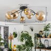 Chehalis Plafondlamp - Glas Goud, Zwart, 6-lichts