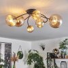 Chehalis Plafondlamp - Glas Goud, Zwart, 6-lichts