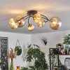 Chehalis Plafondlamp - Glas Goud, Zwart, 6-lichts