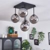 Chehalis Plafondlamp - Glas Rookkleurig, 5-lichts