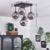 Chehalis Plafondlamp - Glas Rookkleurig, 5-lichts