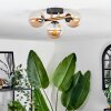 Chehalis Plafondlamp - Glas Goud, Zwart, 3-lichts