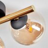 Chehalis Plafondlamp - Glas Goud, Zwart, 3-lichts