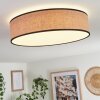 Parbiak Plafondlamp LED Wit, 1-licht