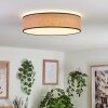 Parbiak Plafondlamp LED Wit, 1-licht