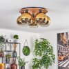 Koyoto Plafondlamp - Glas Natuurlijke kleuren, Zwart, 5-lichts
