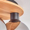 Koyoto Plafondlamp - Glas Natuurlijke kleuren, Zwart, 6-lichts