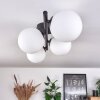 Chehalis Plafondlamp - Glas Wit, 4-lichts