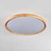 Sofo Plafondlamp LED Wit, 1-licht, Afstandsbediening