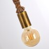 Tenna Kordel Hanger Bruin, Zwart-Goud, 2-lichts