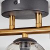 Chehalis Plafondlamp - Glas Goud, Zwart, 3-lichts