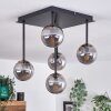 Chehalis Plafondlamp - Glas Goud, Zwart, 5-lichts