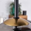 Chehalis Plafondlamp - Glas Goud, Zwart, 5-lichts