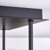 Chehalis Plafondlamp - Glas Goud, Zwart, 5-lichts