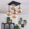 Chehalis Plafondlamp - Glas Goud, Zwart, 5-lichts