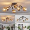 Chehalis Plafondlamp - Glas Goud, Zwart, 6-lichts