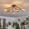Chehalis Plafondlamp - Glas Goud, Zwart, 6-lichts