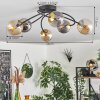 Chehalis Plafondlamp - Glas Goud, Zwart, 6-lichts