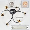 Chehalis Plafondlamp - Glas Goud, Zwart, 6-lichts