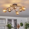 Chehalis Plafondlamp - Glas Goud, Zwart, 6-lichts