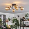 Chehalis Plafondlamp - Glas Goud, Zwart, 6-lichts