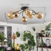 Chehalis Plafondlamp - Glas Goud, Zwart, 6-lichts