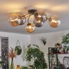Chehalis Plafondlamp - Glas Amber, Rookkleurig, 6-lichts