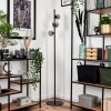 Remaisnil Staande lamp - Glas Rookkleurig, 3-lichts