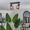 Cevio Plafondlamp Zwart, 2-lichts