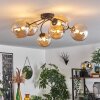 Chehalis Plafondlamp - Glas Amber, 6-lichts