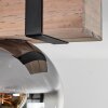 Montgomery Plafondlamp - Glas Natuurlijke kleuren, Zwart, 2-lichts