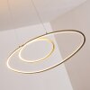 Harpeth Hanglamp LED Nikkel mat, 1-licht